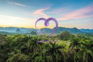 How To Hike the Viñales Valley (Map & Trail Guide)
